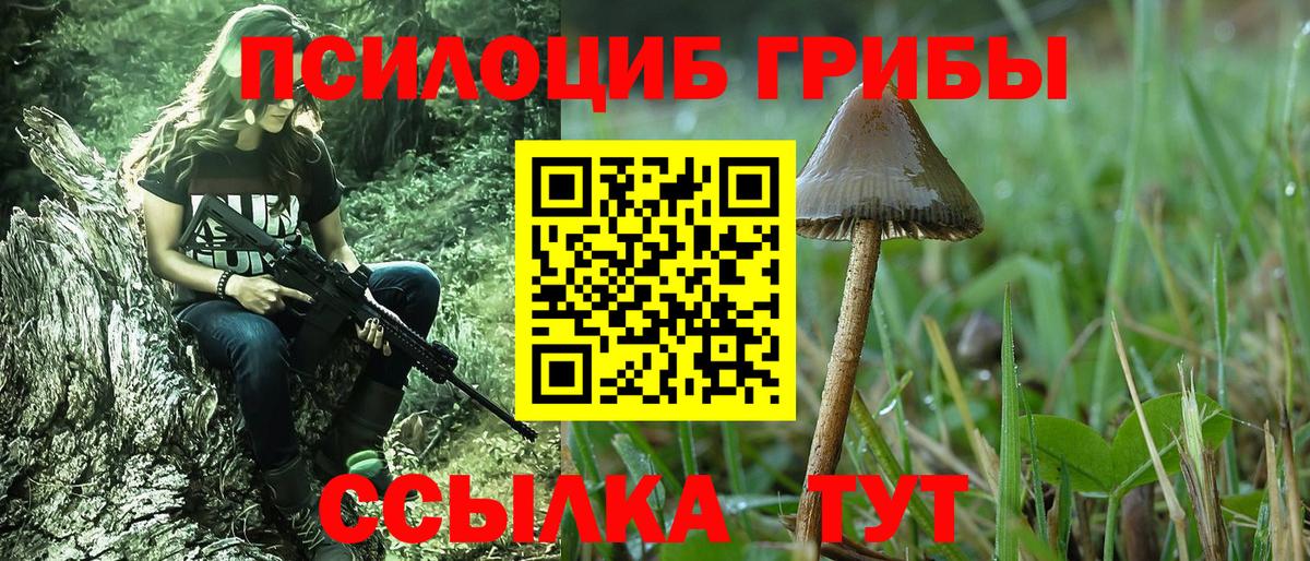 Галлюциногенные грибы мухоморы  Псилоцибиновые грибы ЛСД  Дагестанские Огни  Вход с VPN 